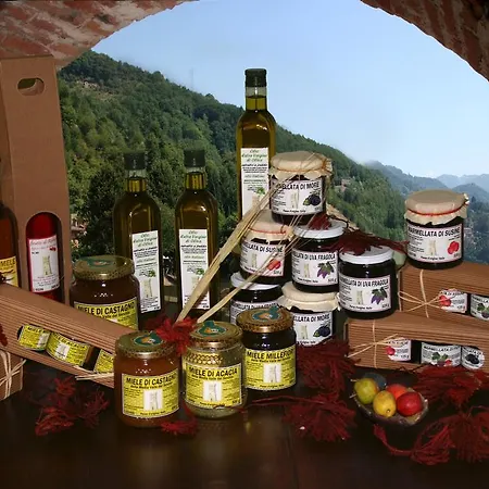 La Torre Bagni di Lucca